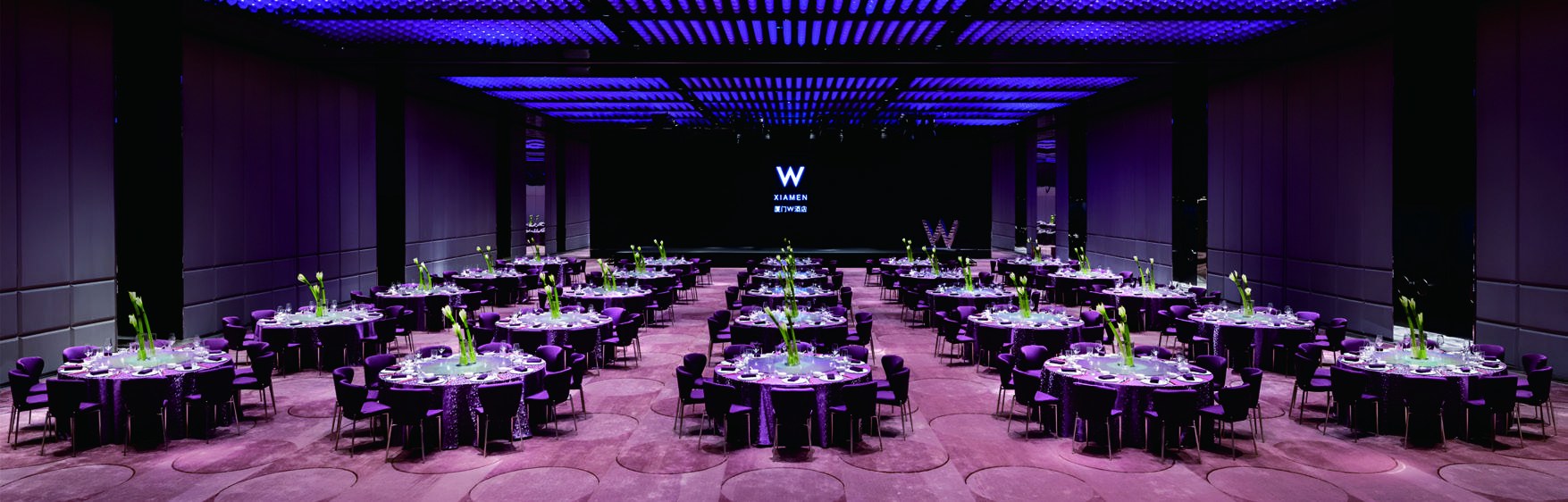 W Xiamen lighting case